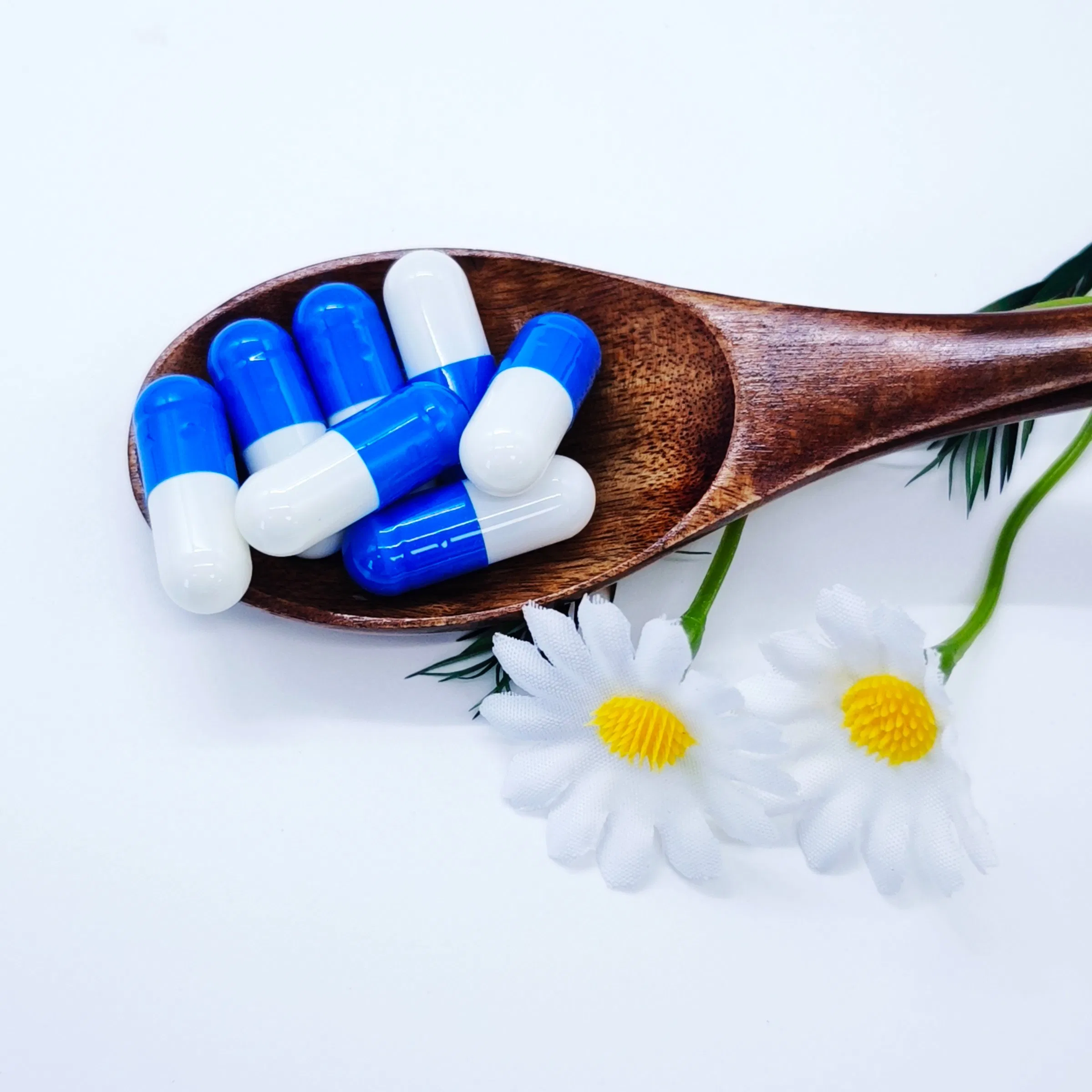 Zinc L-Carnosine Capsules for Cognitive Support &amp; Neuronal Communication