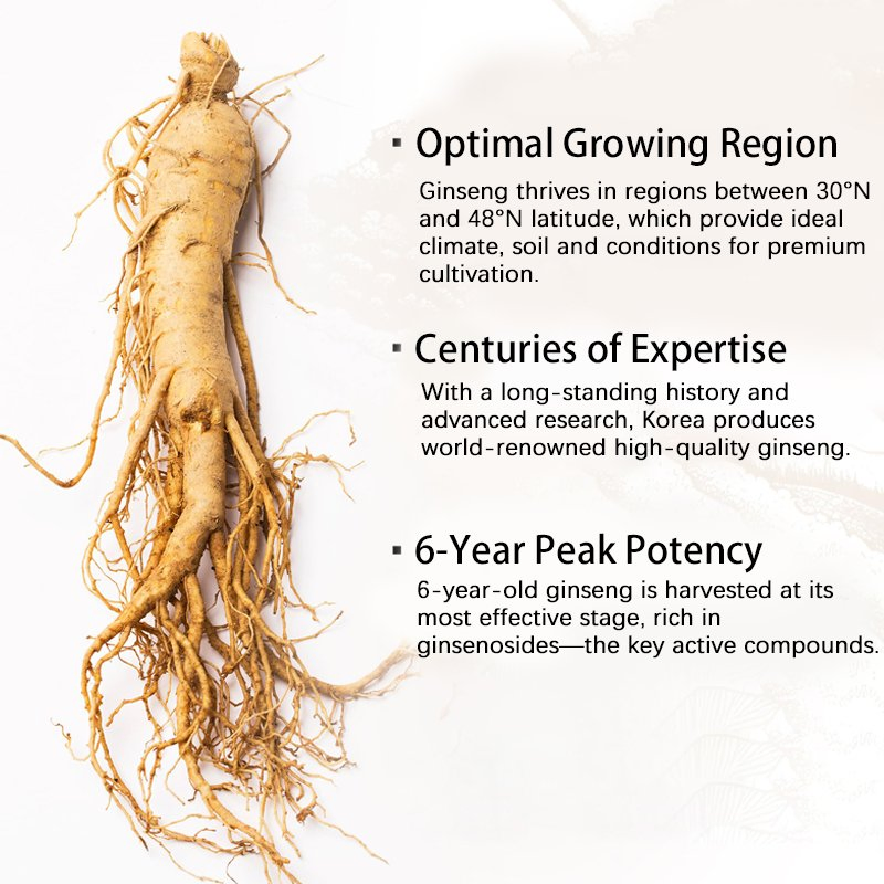 Propolis Infused Red Ginseng Oral Films for Optimal Cognitive Support