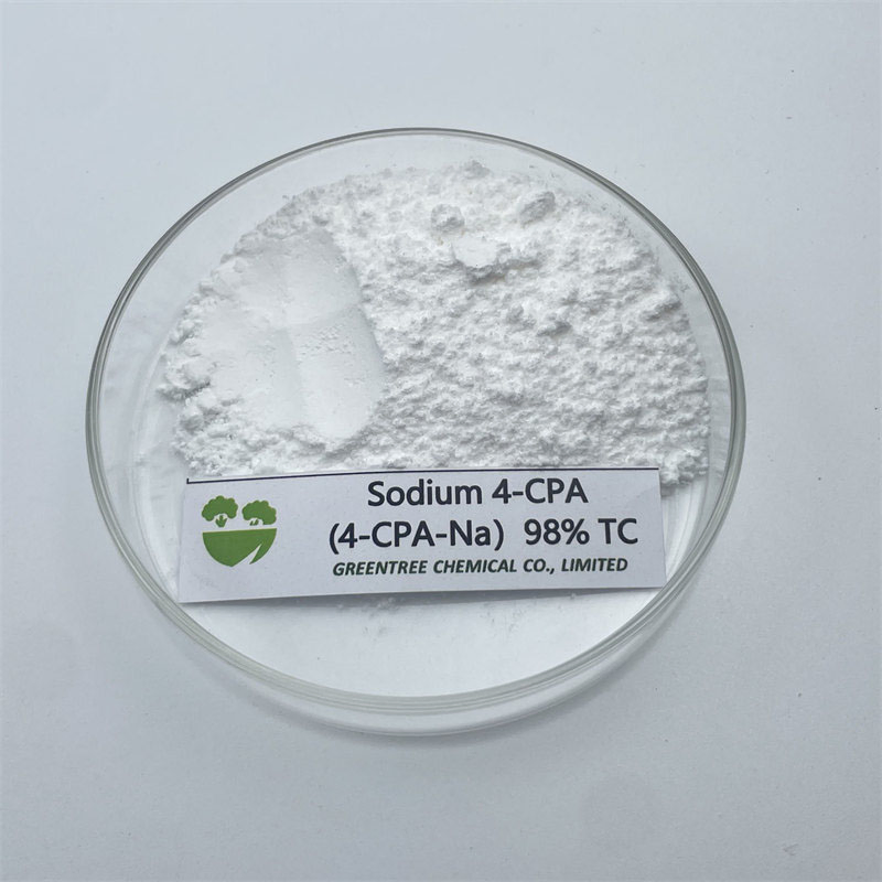 High Purity Agrochemical Pgr Sodium 4-CPA-Na 4-Chlorophenoxyacetic Acid 98% Tc CAS 13730-98-8