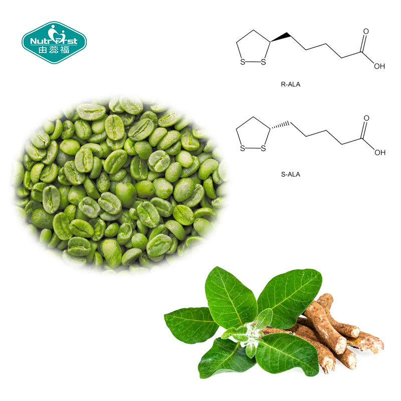 OEM Herb Plant Blend Sustained Energy Metabolic Activation Vegan Capsules