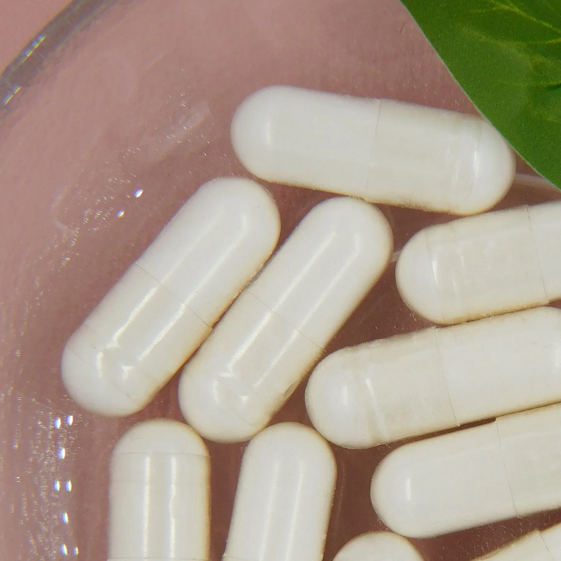 Ultimate Superfoods for Gut Health: Nourish Your Microbiome Naturally