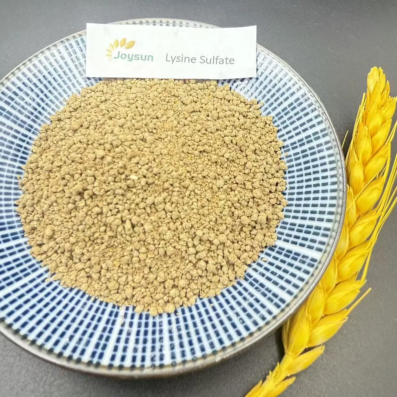 Microbiome-Modulating Precision L-Lysine Sulfate with Selective Prebiotic Fibers for Beneficial Gut Flora Proliferation