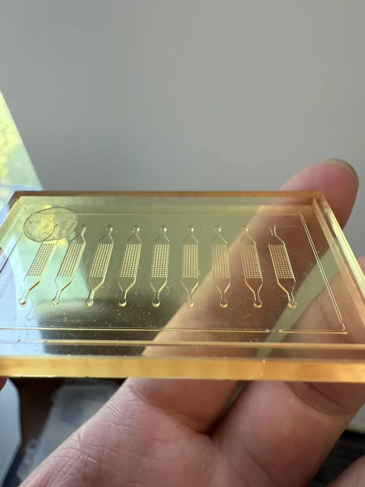 Zegota Animal-Free Toxicology Screening Chips (Human-Relevant Safety Assessment)