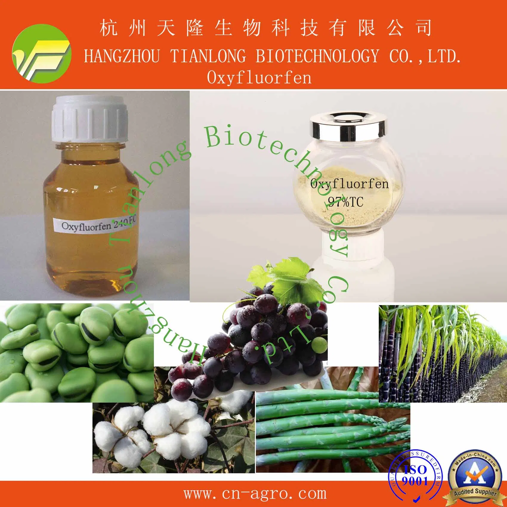 Highly Effective Herbicide Oxyfluorfen (98%TC, 240g/L EC)