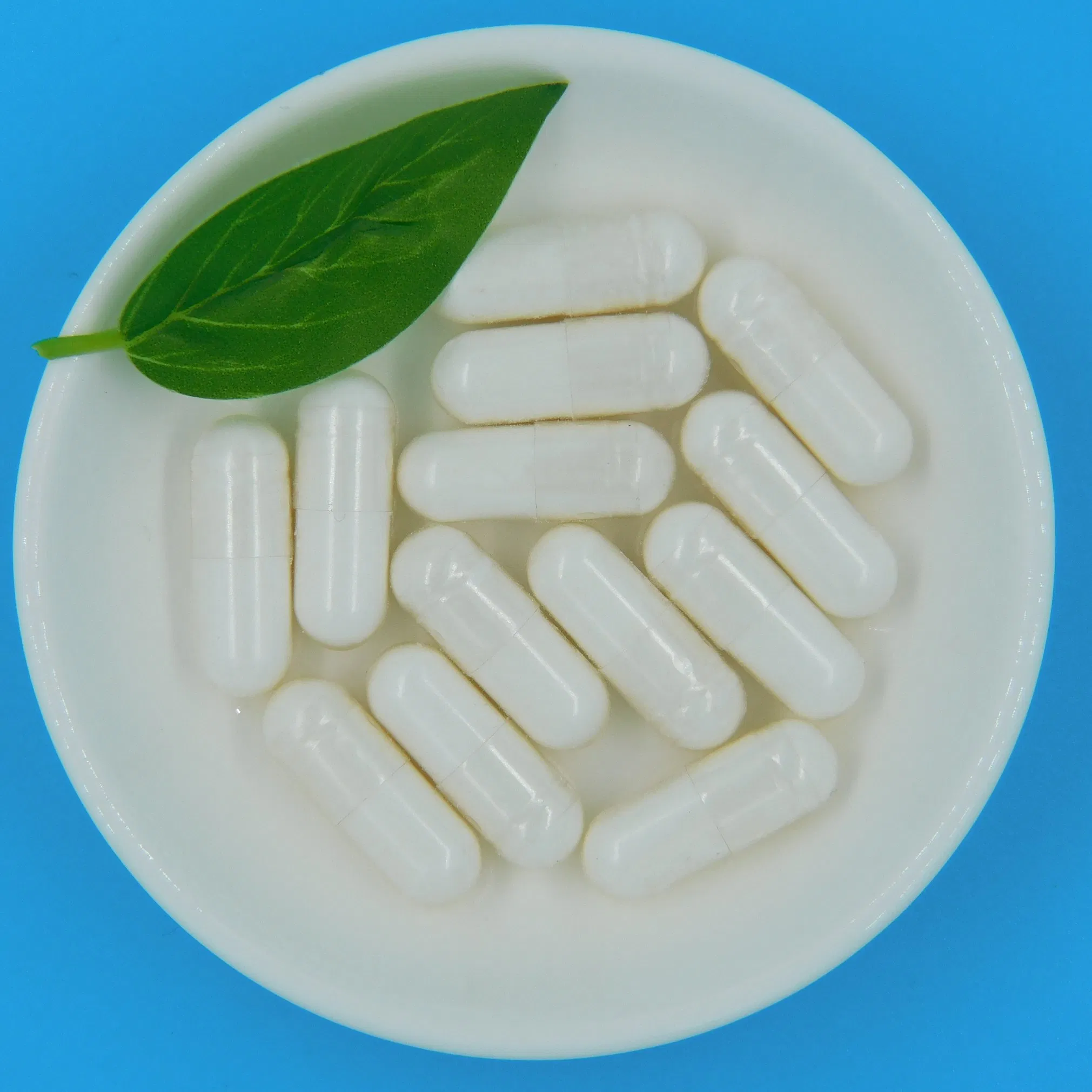 Advanced Gut Microbiome Probiotic for Digestive Health Relief