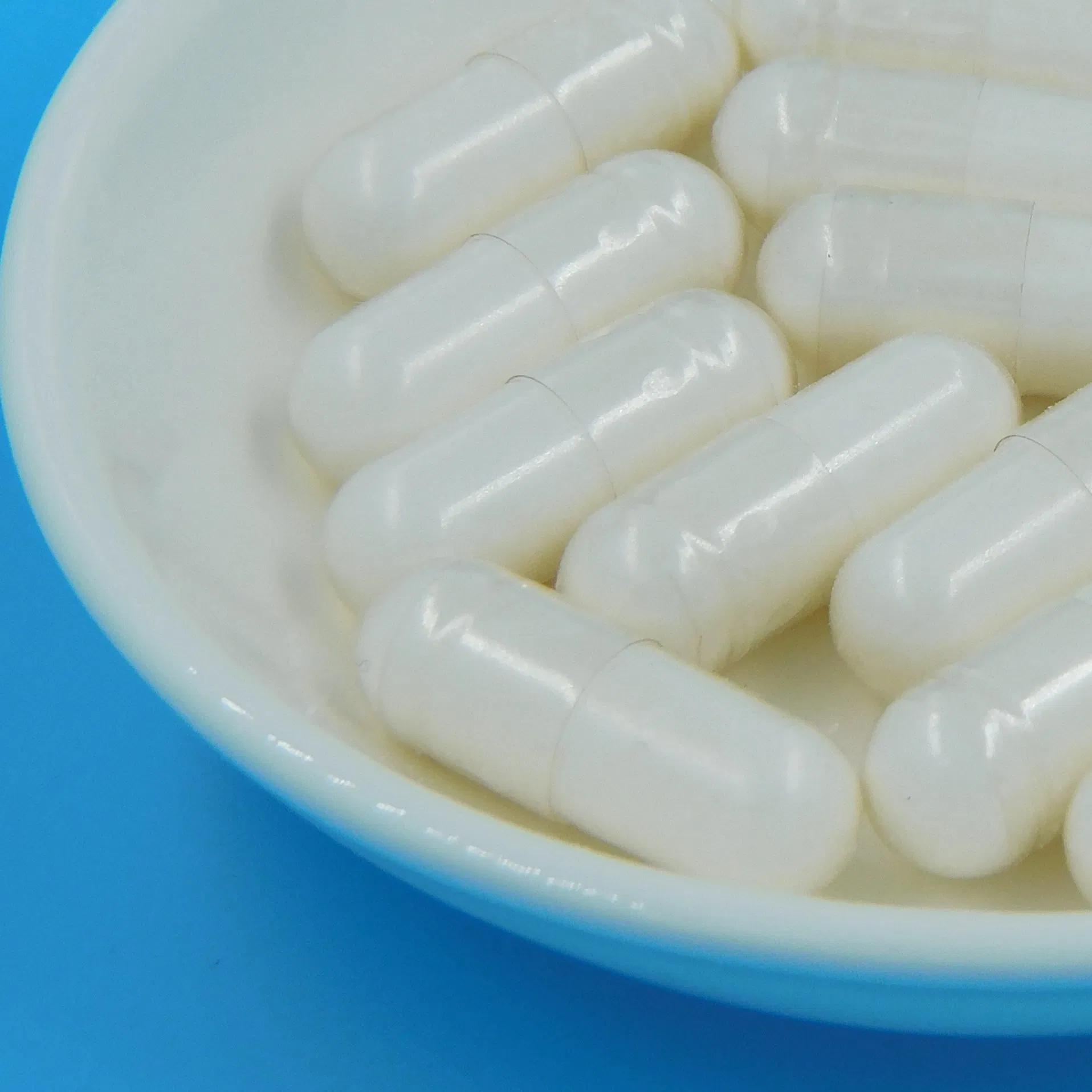 Healthy Gut Starter Balanced Microbiome Blend Food Supplement