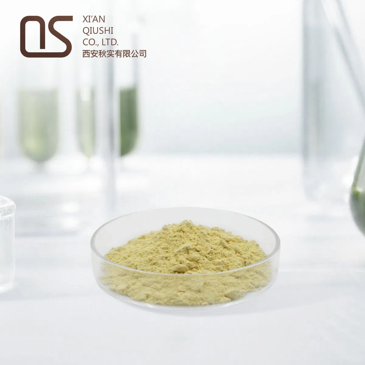 Nootropics Sulforaphane Powder Broccoli Extract Sulforaphane