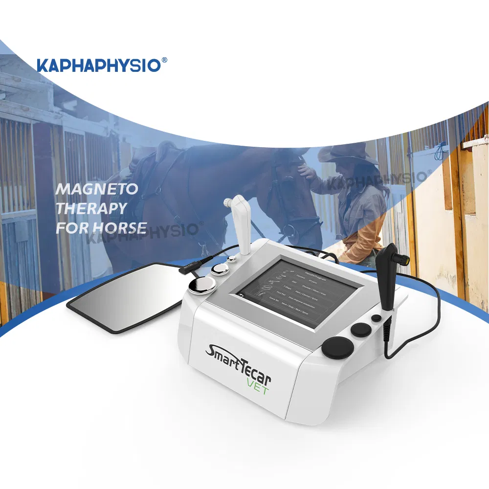 CE Approved Horse Treatment China Improved Equine Flexibility Tecar Therapy Machine