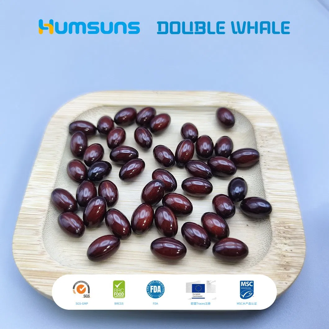 Balanced Phospholipid Krill Oil Softgel Supporting Cognitive Vitality and Metabolic Wellness