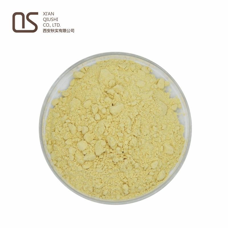 Nootropics Sulforaphane Powder Broccoli Extract Sulforaphane