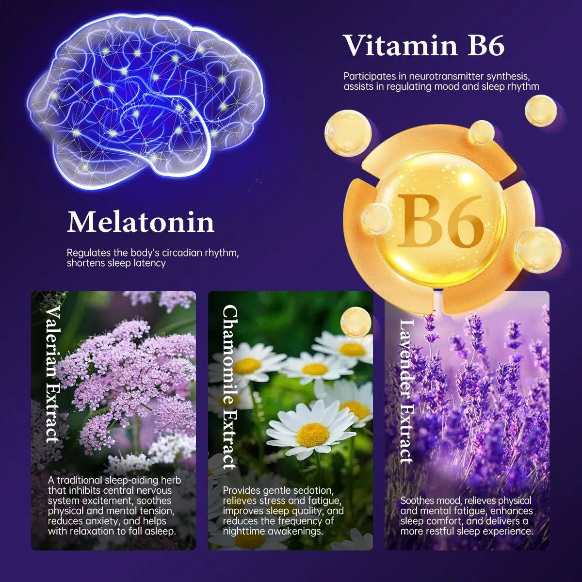 OEM/ODM Non-Habit Forming Anxiety Relief &amp; Gentle Sleep Custom Vitamin B6 &amp; Herbal Blend Melatonin Sleep Gummies