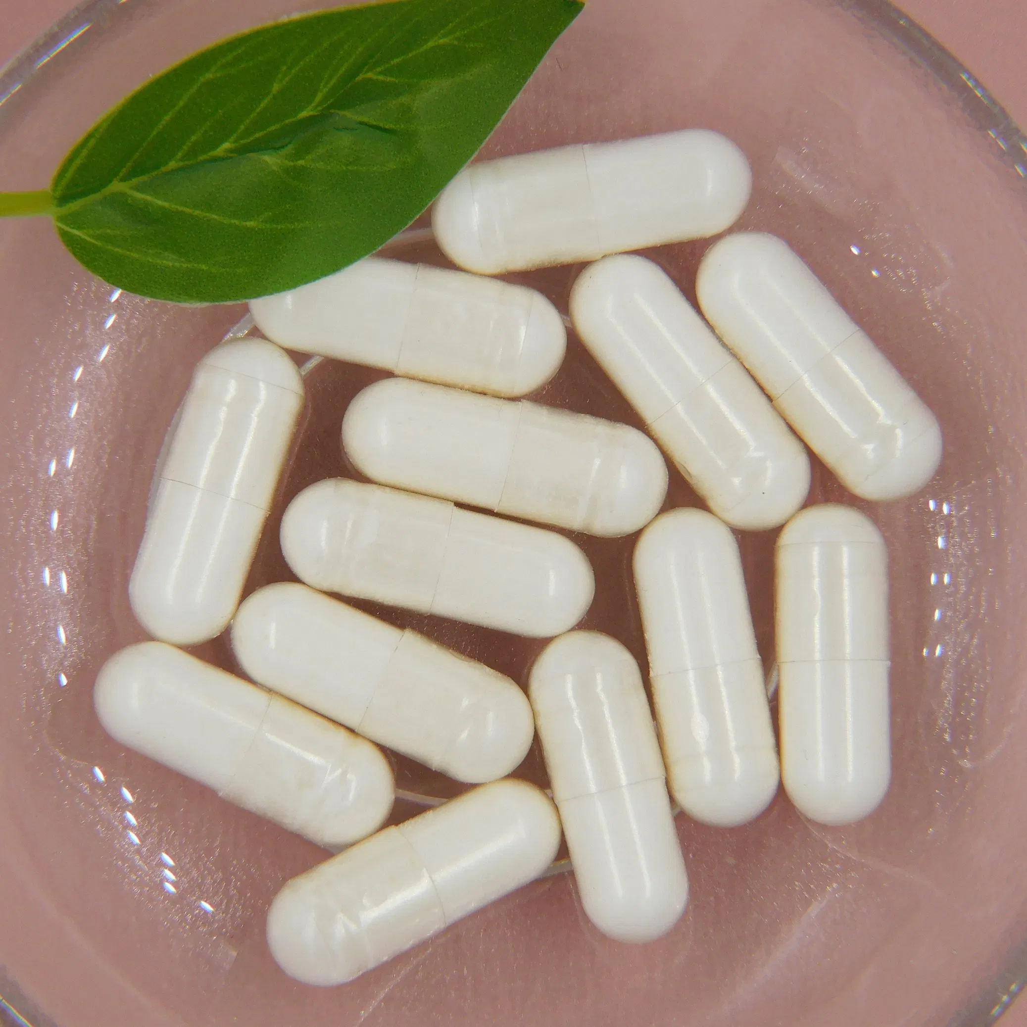 Advanced Gut Microbiome Probiotic for Digestive Health Relief