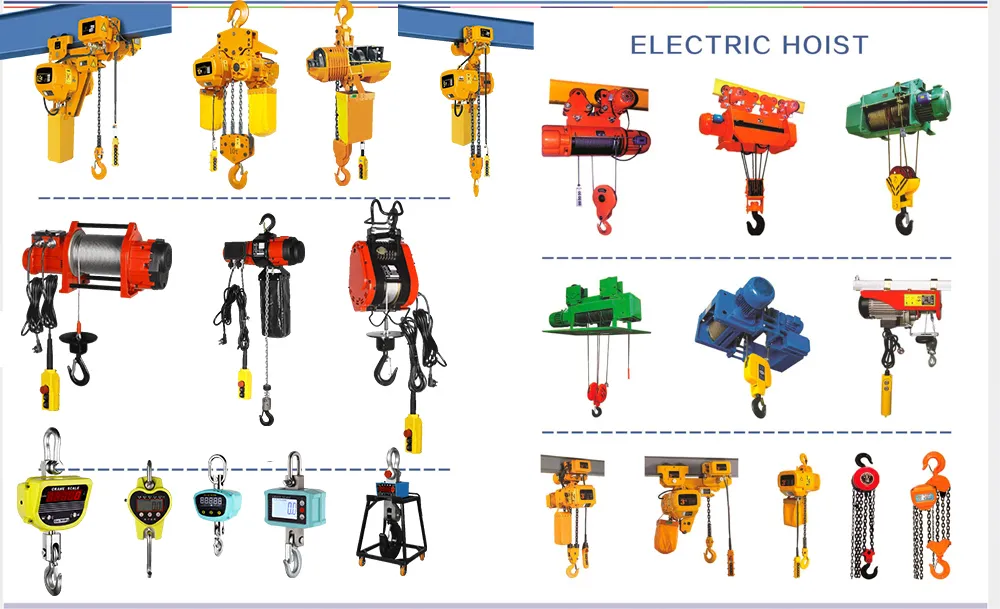 Electronic Digital Crane Scale