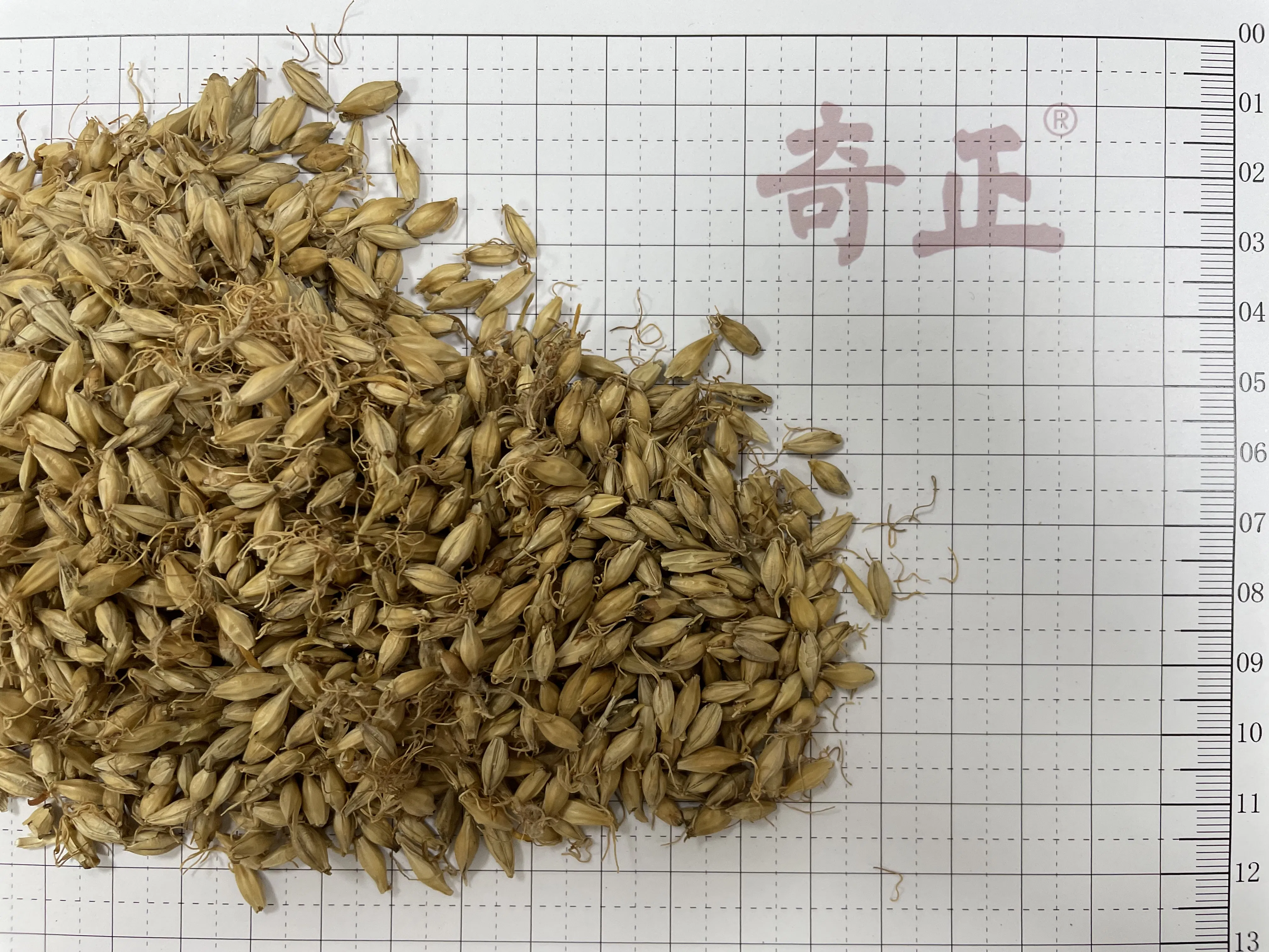 Traditional Chinese Herbal Medicine Maiya Hordei Fructus