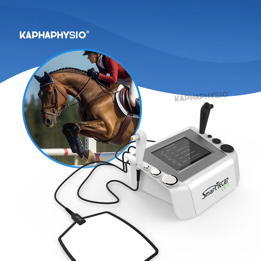 Manufacture China Horse Treatment Therapy Rehabilitation Equipment Improved Equine Flexibility Physiotherapy Machine Smart Tecar