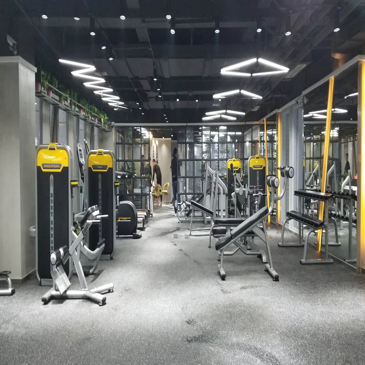 Hack Squat Gym Machine/Fitness Equipment