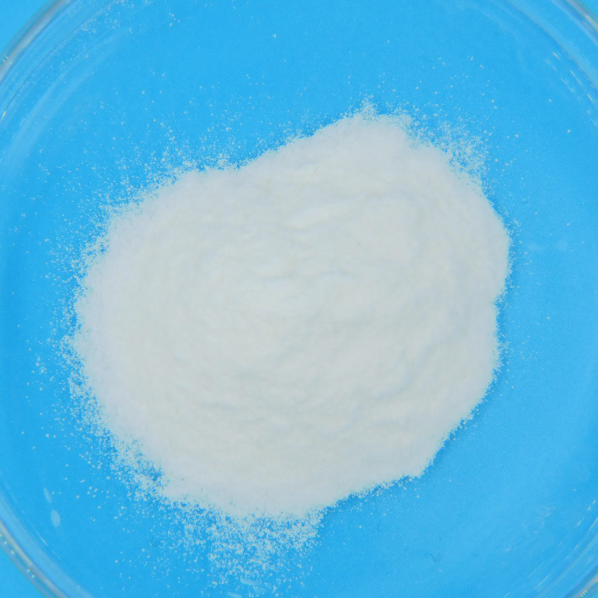 Advanced Gut Microbiome Probiotic for Digestive Health Relief