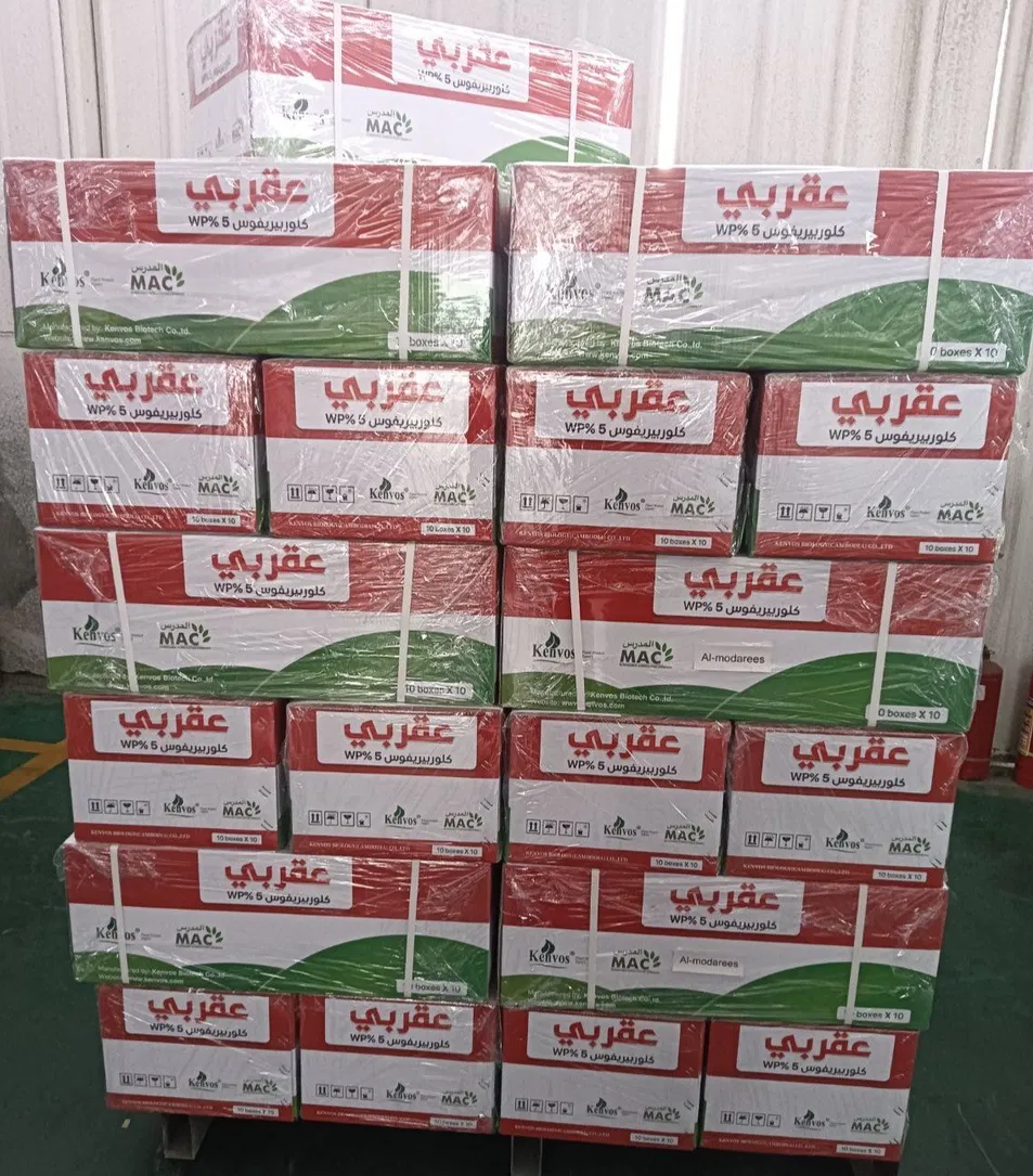 Manufacturing Process