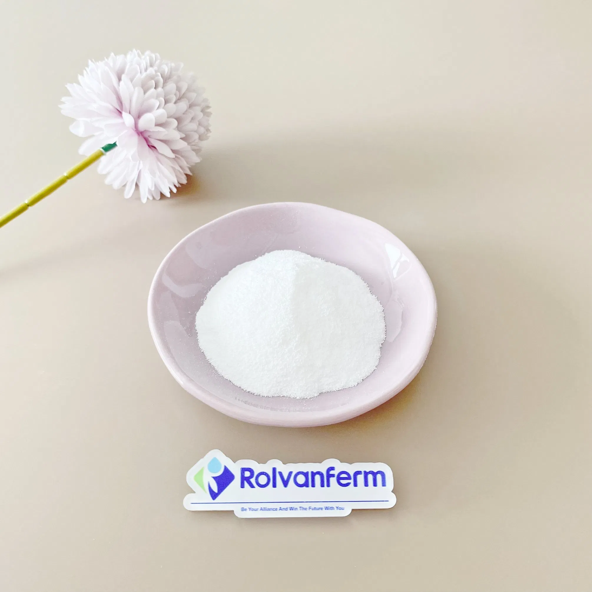 Factory Supply 99% Purity CAS 11032-49-8 Raw Material Vitamin K2 Mk7 Powder