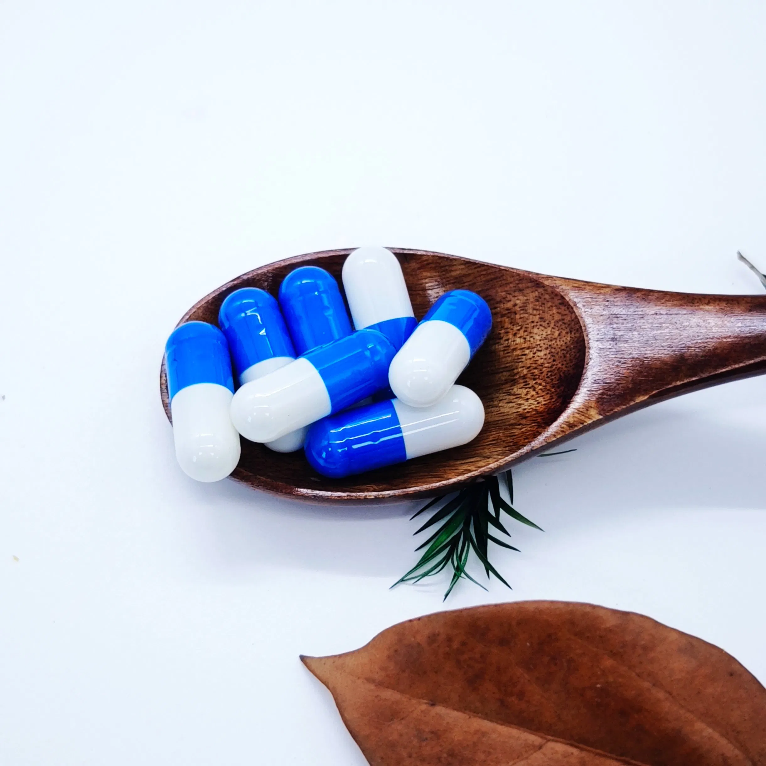 Zinc L-Carnosine Capsules for Cognitive Support &amp; Neuronal Communication