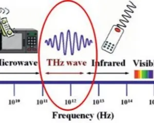 Far Infrared Sauna 2