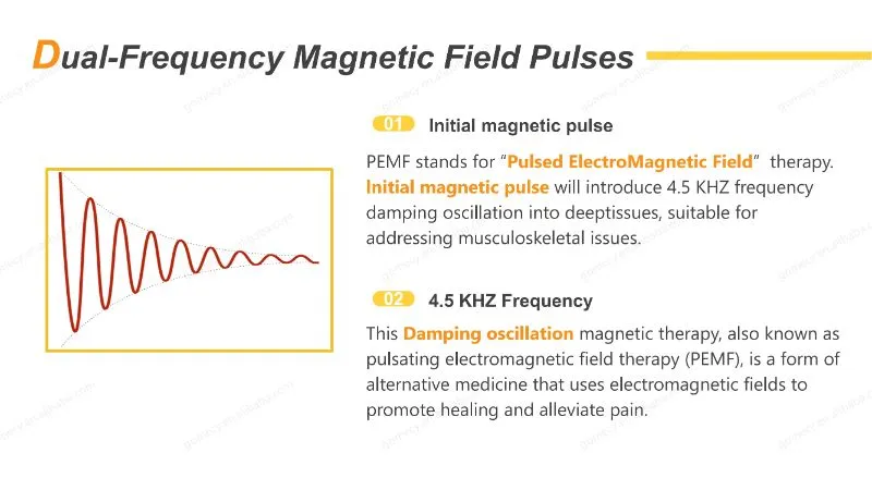 Pulse Therapy Equipment 5