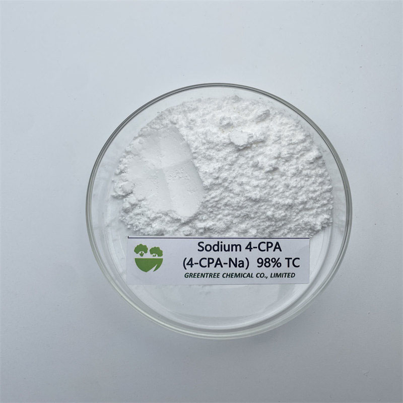 High Purity Agrochemical Pgr Sodium 4-CPA-Na 4-Chlorophenoxyacetic Acid 98% Tc CAS 13730-98-8