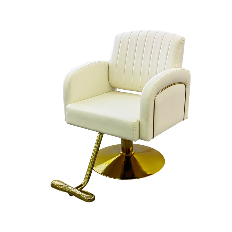 Professional Cheap Functional Performance Beauty Salon Dainty Hairdressing Barber Chair