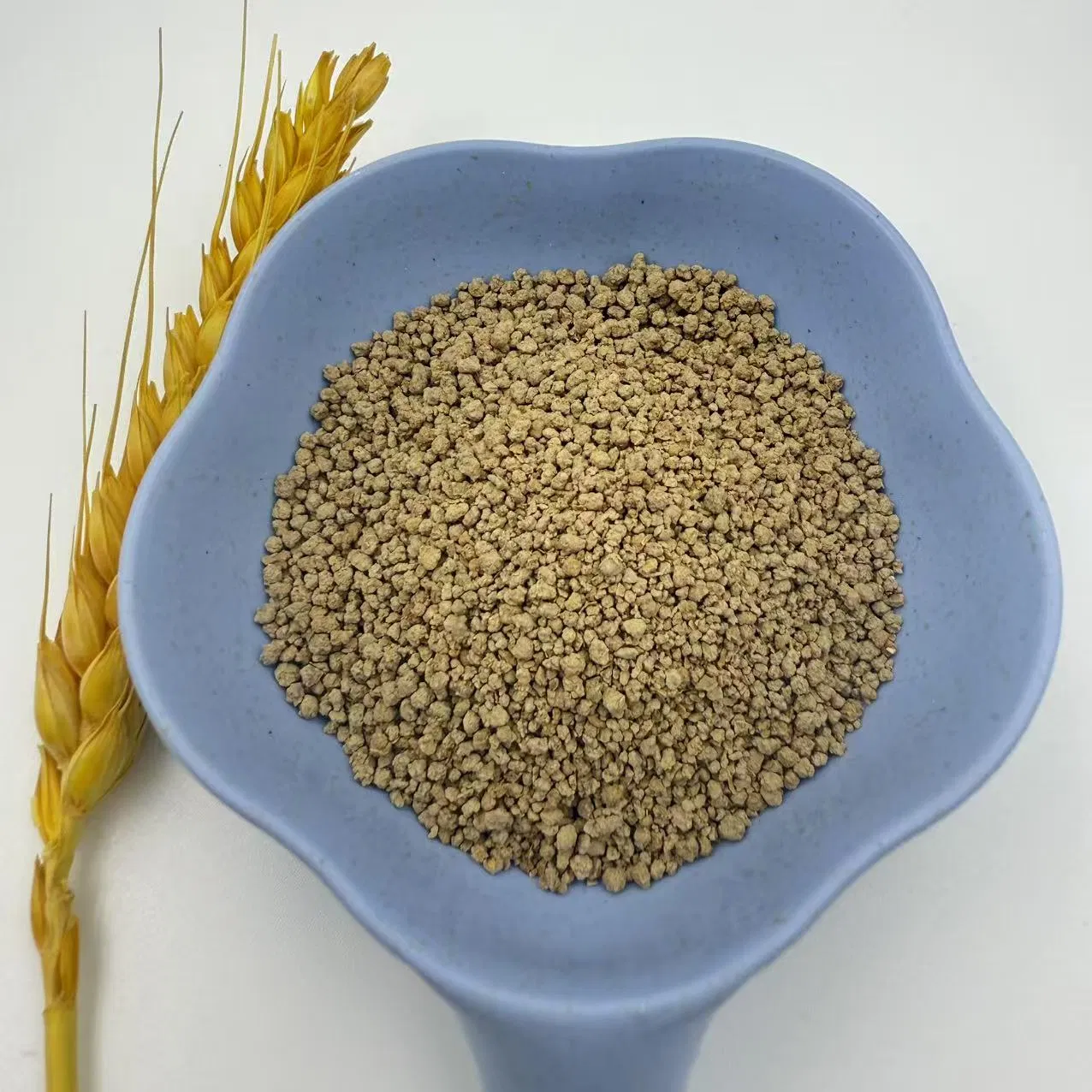 Microbiome-Modulating Precision L-Lysine Sulfate with Selective Prebiotic Fibers for Beneficial Gut Flora Proliferation