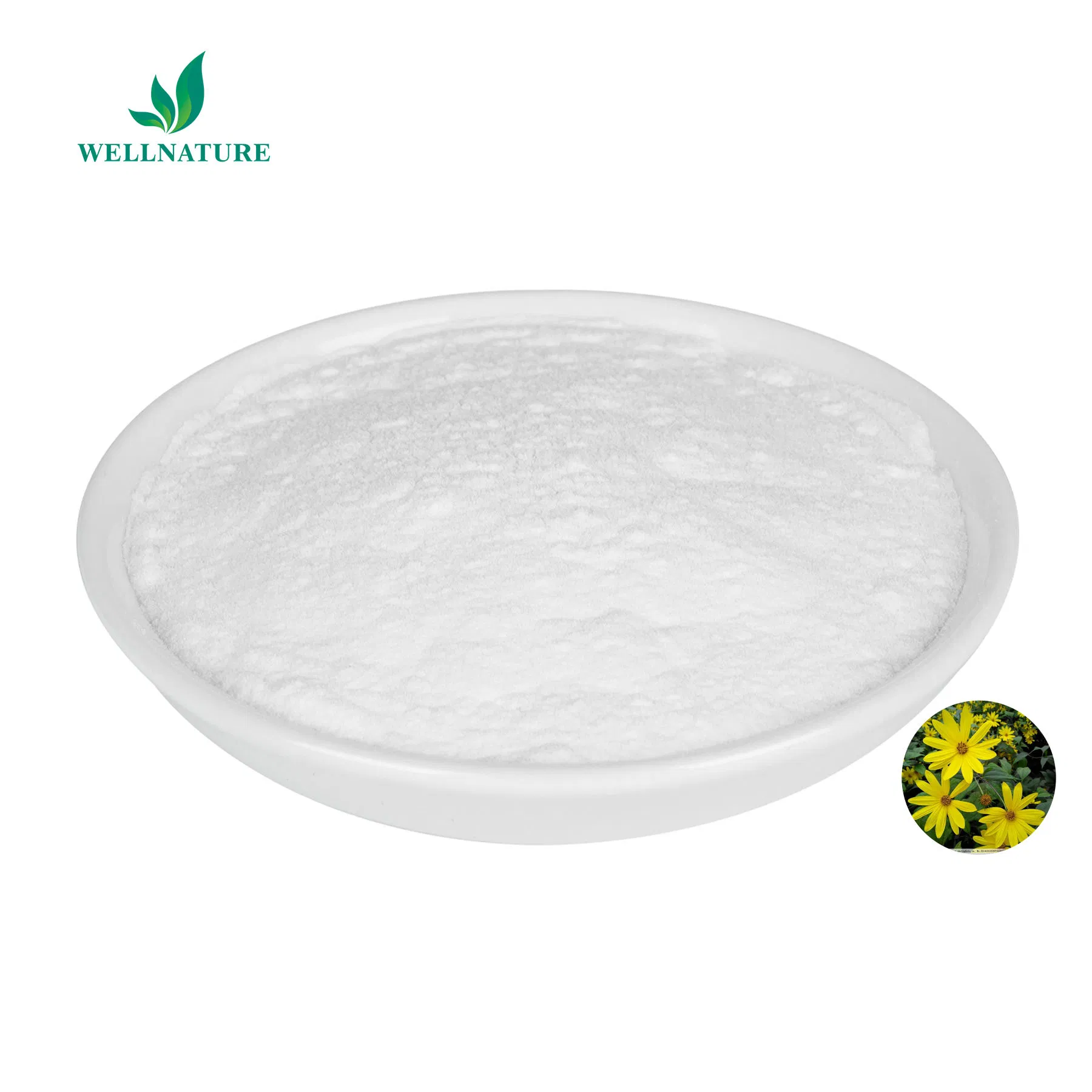 High Inulin Content as Prebiotic Fiber for Gut Health, Digestion and Microbiome Support Chicory Root Extract