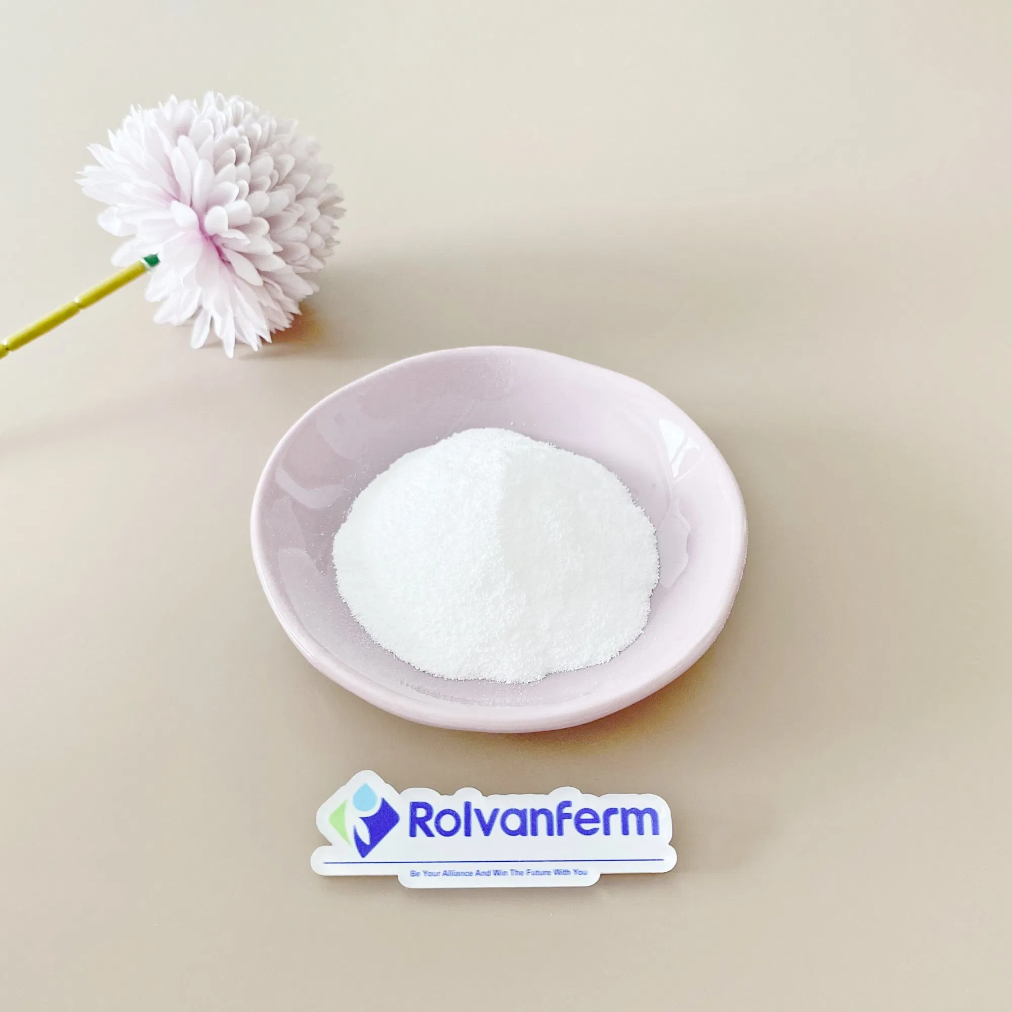 Factory Supply 99% Purity CAS 11032-49-8 Raw Material Vitamin K2 Mk7 Powder