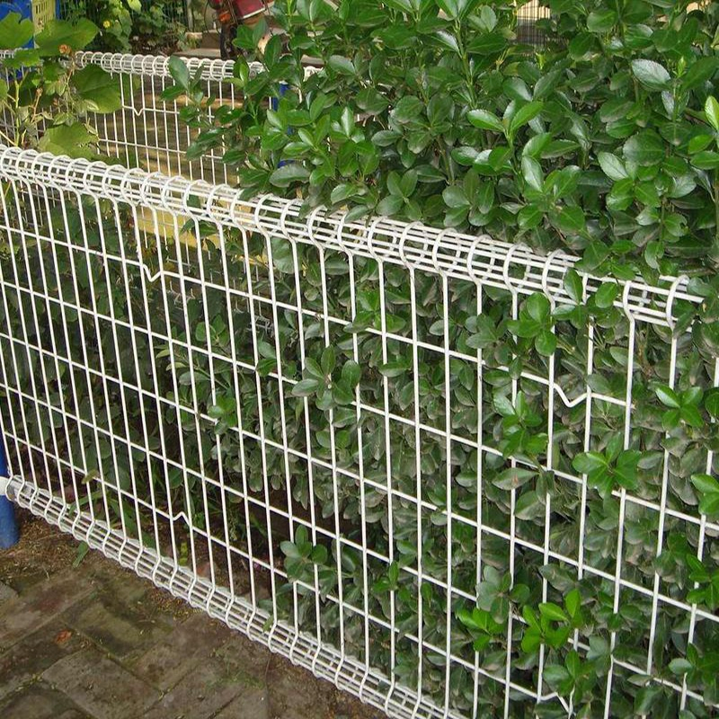 Weather-Resistant Coating Preserves Structural Beauty and Functional Performance Double Loop Fence