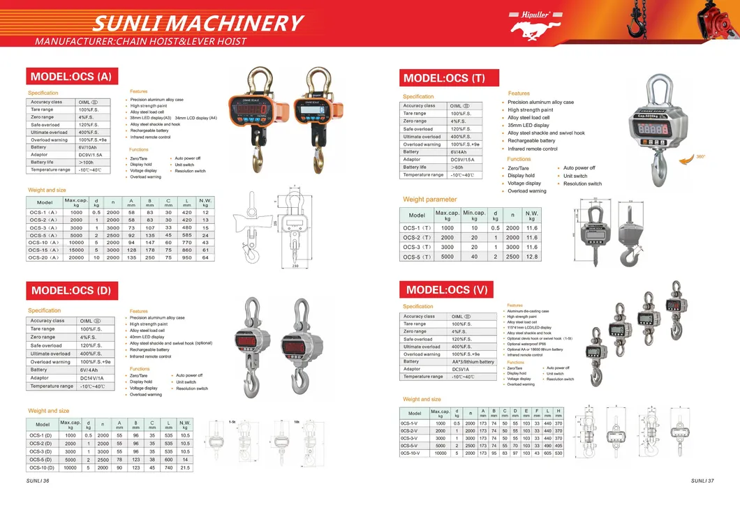 Digital Hanging Scale Overview