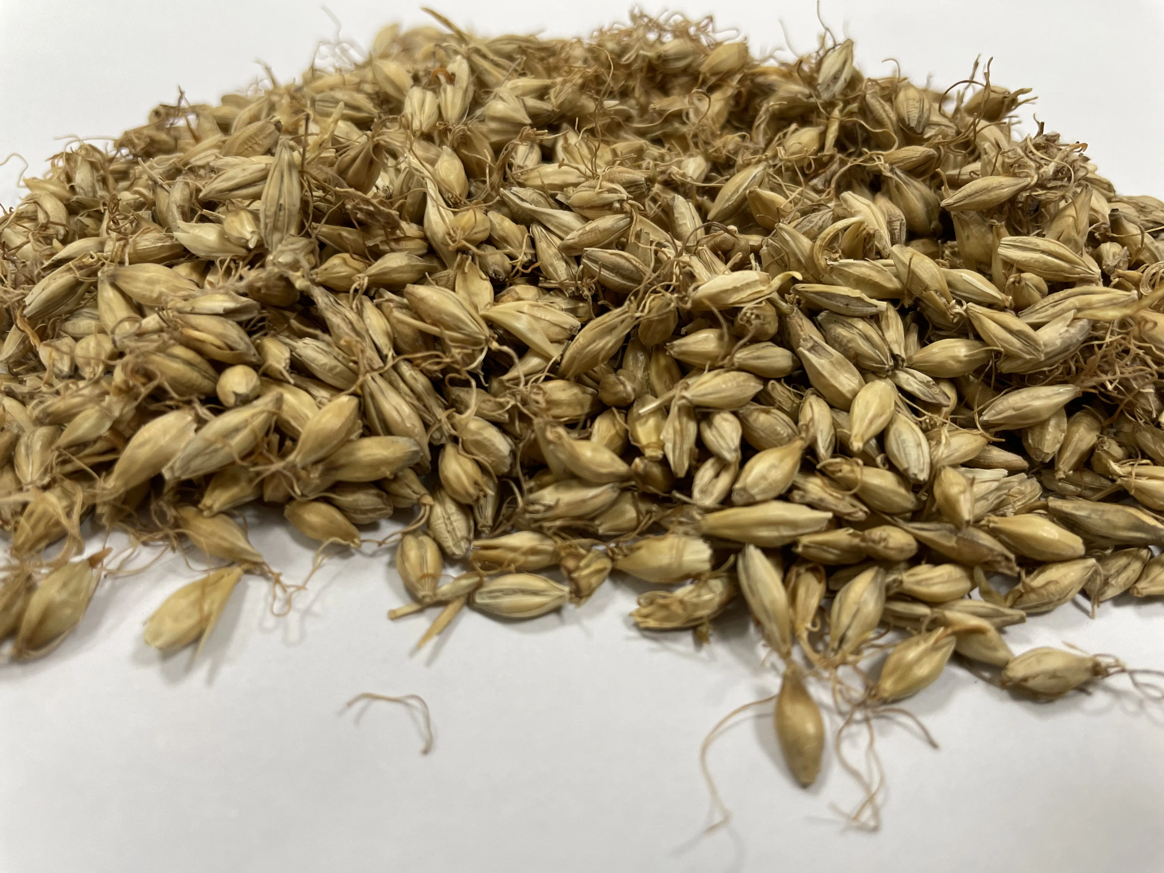 Traditional Chinese Herbal Medicine Maiya Hordei Fructus