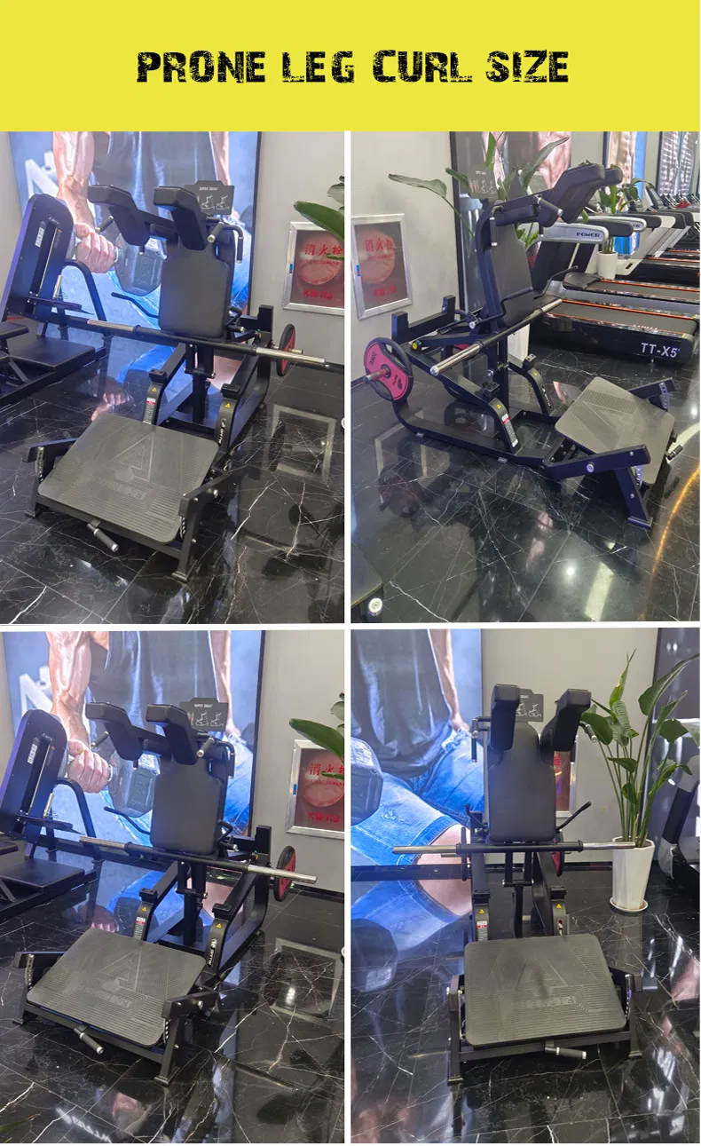 Fitness Center Equipment