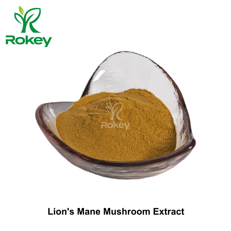 Premium Brain &amp; Nerve Support Supplement, Lion's Mane Mushroom Extract, 30% Polysaccharides Powder