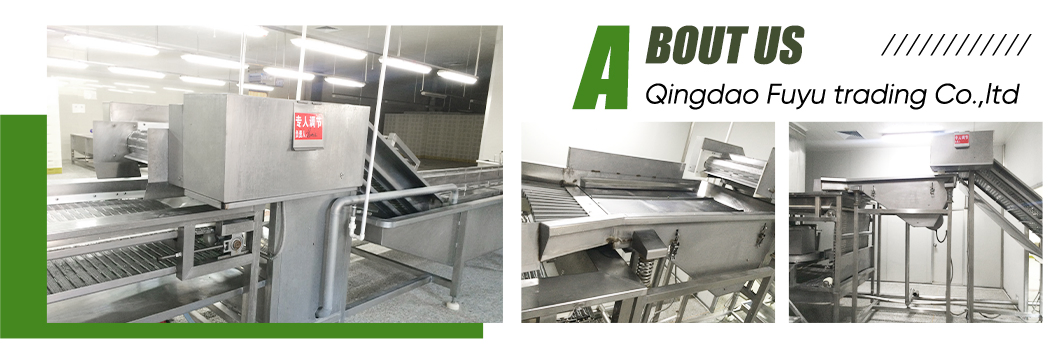 Antioxidant-Packed IQF Frozen Pitted Hawthorn for Anti-Aging Smoothie Bowls and Functional Beauty Beverages Frozen Fruit