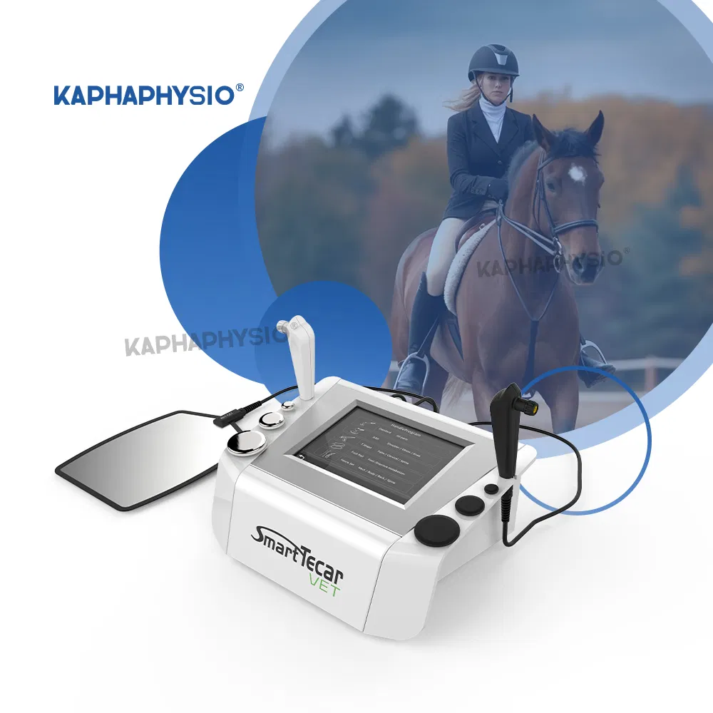 Manufacture China Horse Treatment Therapy Rehabilitation Equipment Improved Equine Flexibility Physiotherapy Machine Smart Tecar