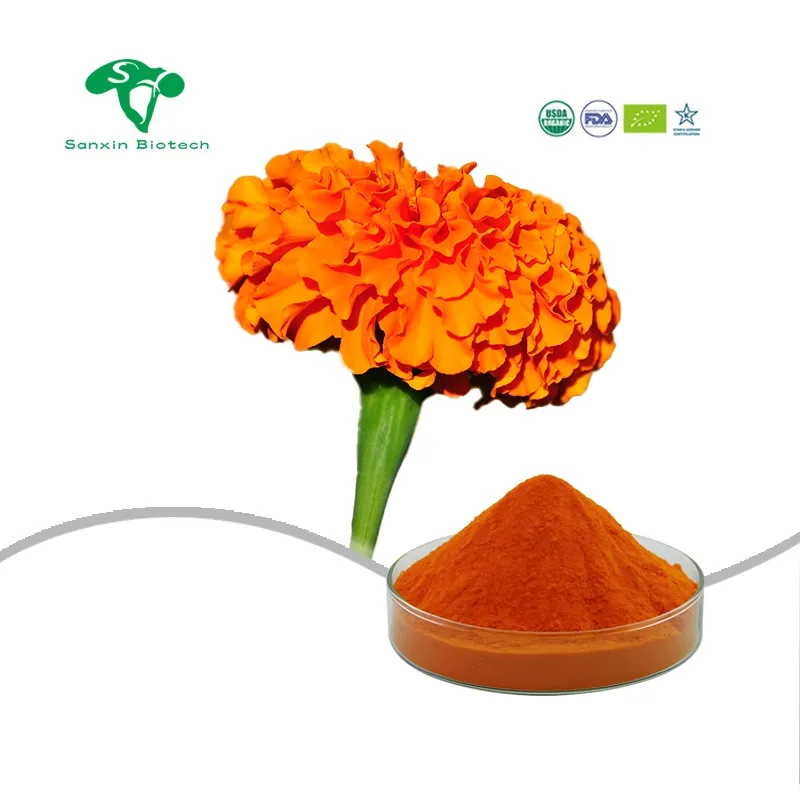 Detailed Lutein Powder Photo