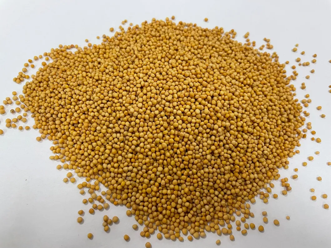 Sinapis Semen Display 2