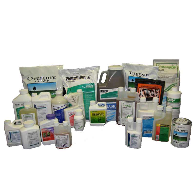 Agriculture Products Benomyl Benlate Fungicide