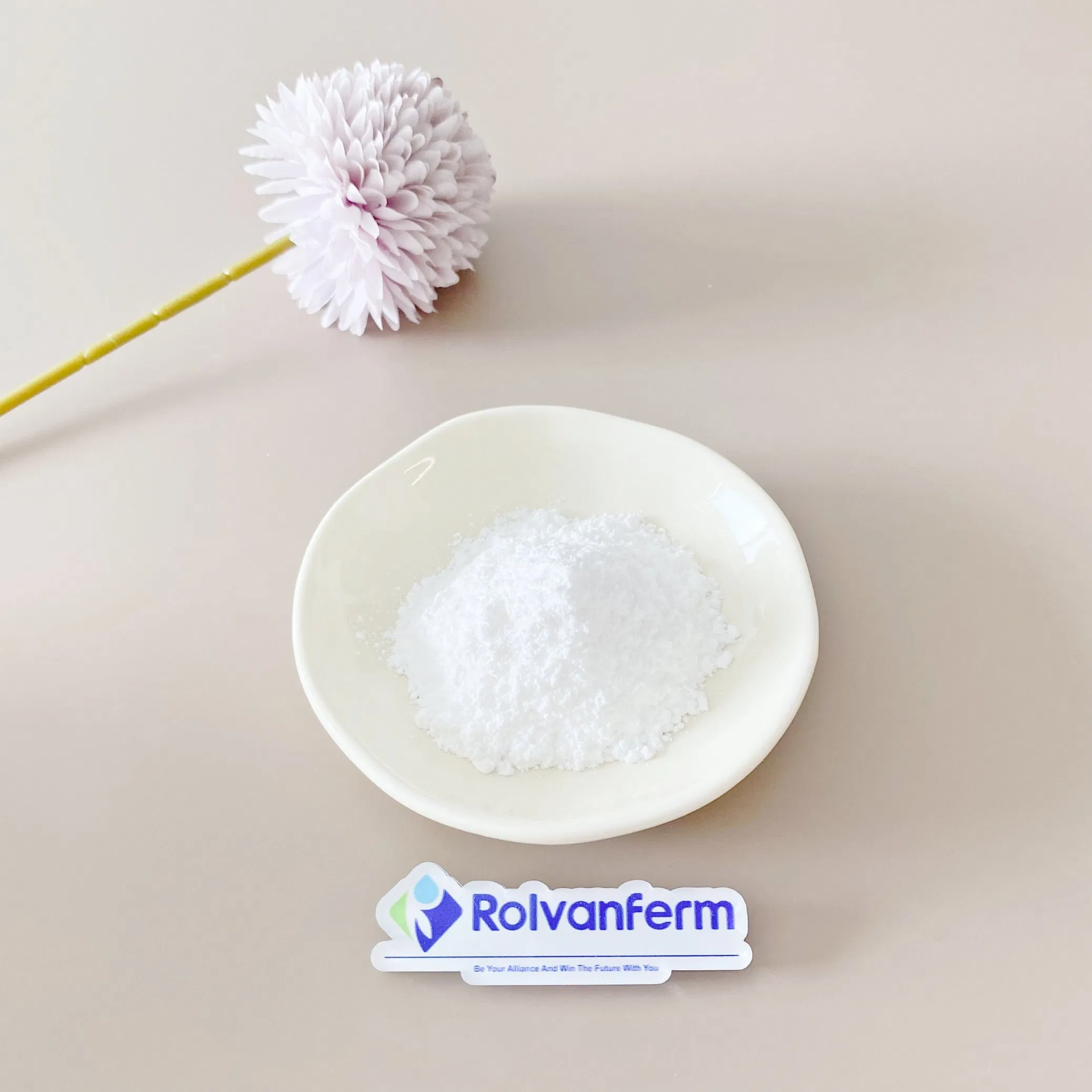 Factory Supply 99% Purity CAS 11032-49-8 Raw Material Vitamin K2 Mk7 Powder