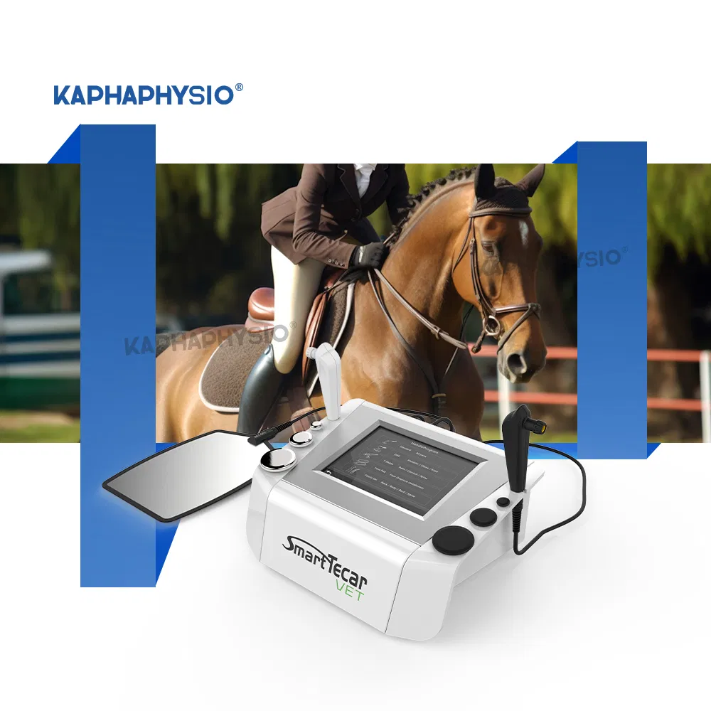 CE Approved Horse Treatment China Improved Equine Flexibility Tecar Therapy Machine