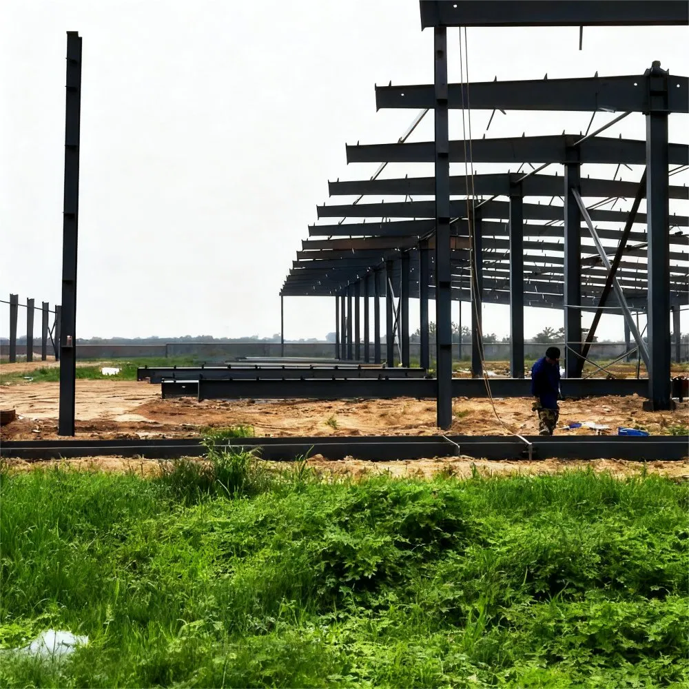 Modern Steel Structure Wellness Retreat Center with Therapeutic Facilities for Health Restoration Steel Construction