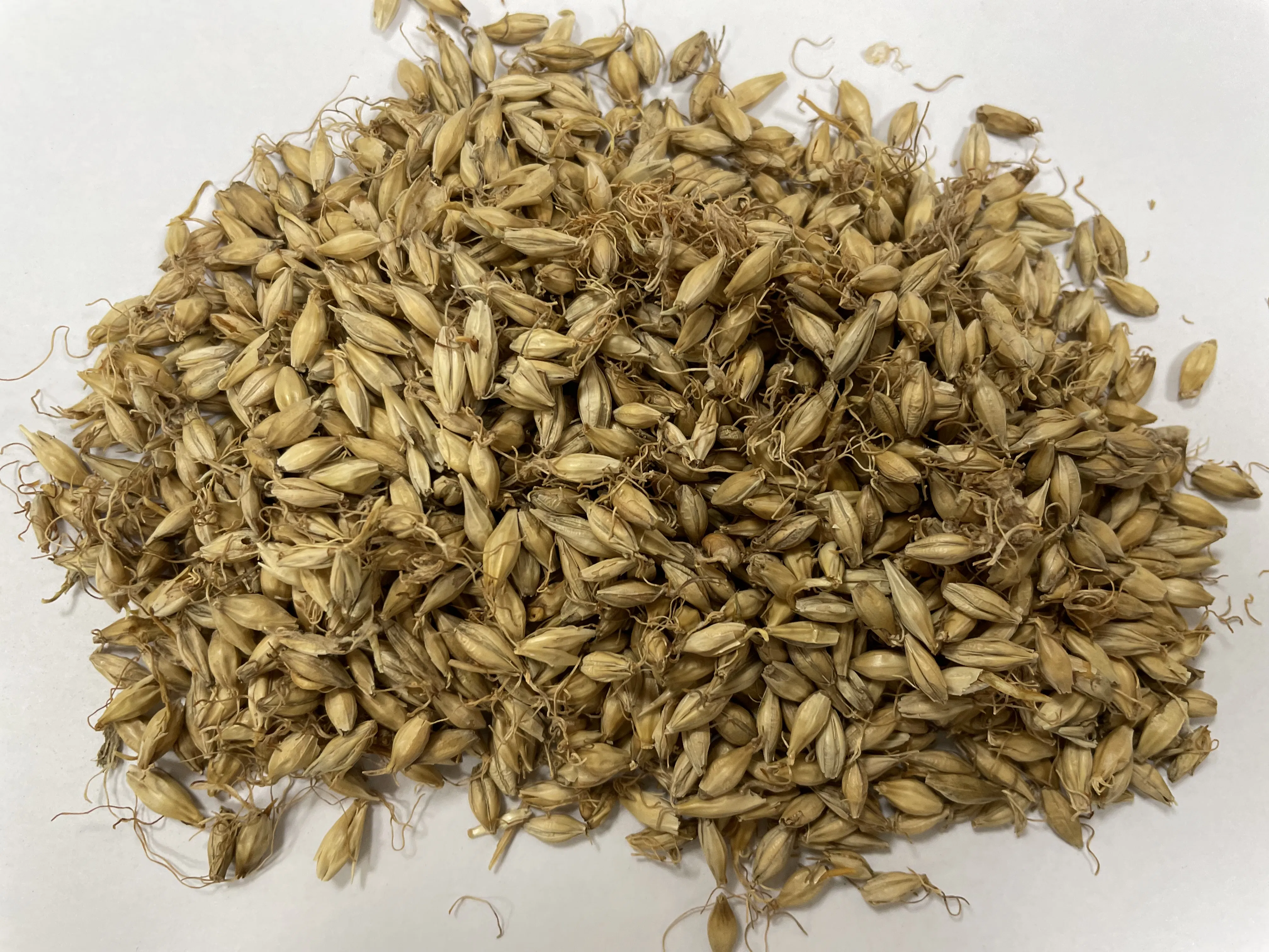 Traditional Chinese Herbal Medicine Maiya Hordei Fructus