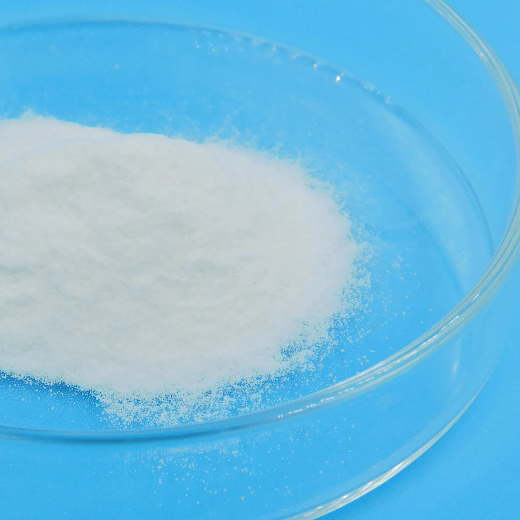 Ultimate Superfoods for Gut Health: Nourish Your Microbiome Naturally