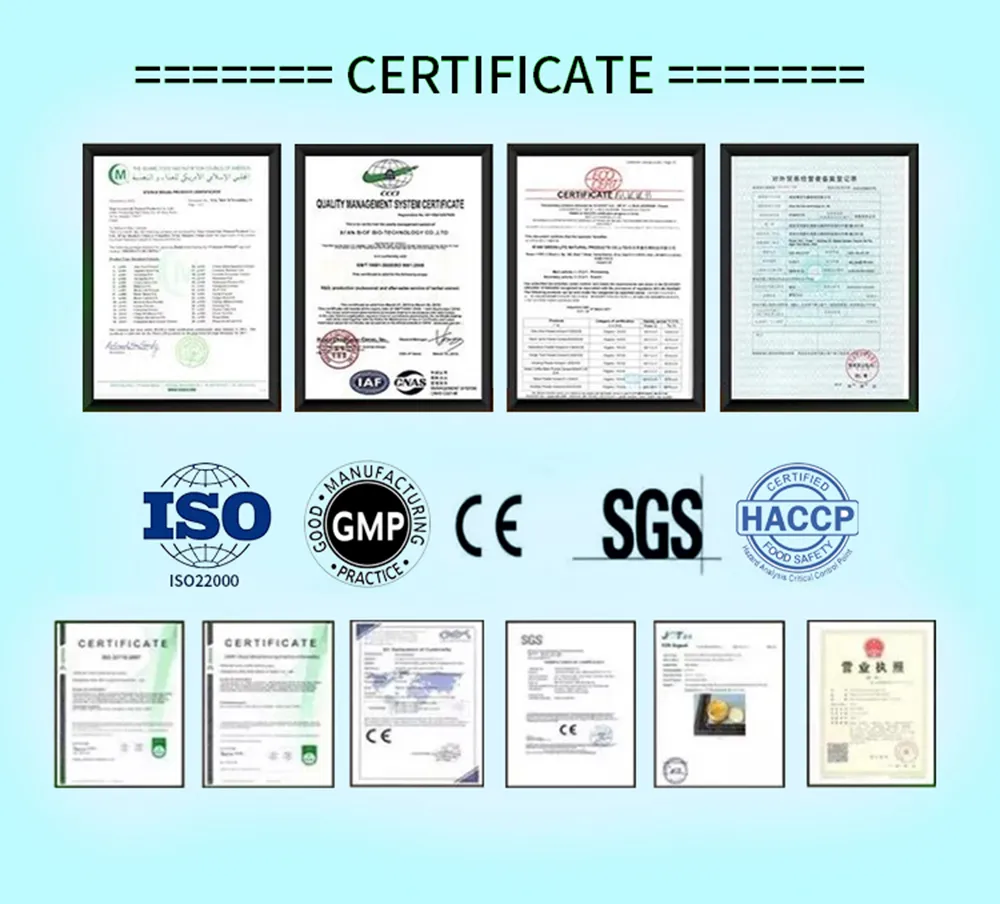 Manufacturing Process