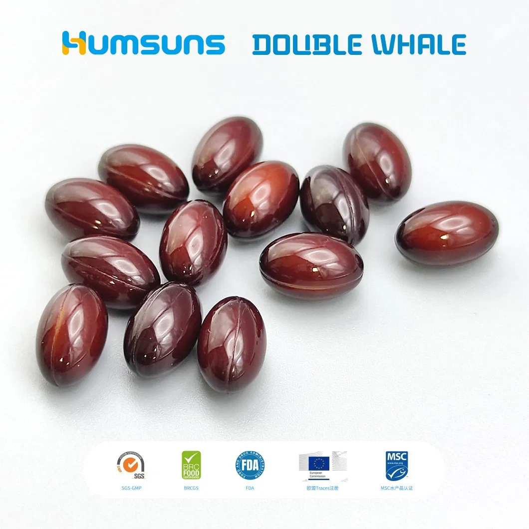 Balanced Phospholipid Krill Oil Softgel Supporting Cognitive Vitality and Metabolic Wellness