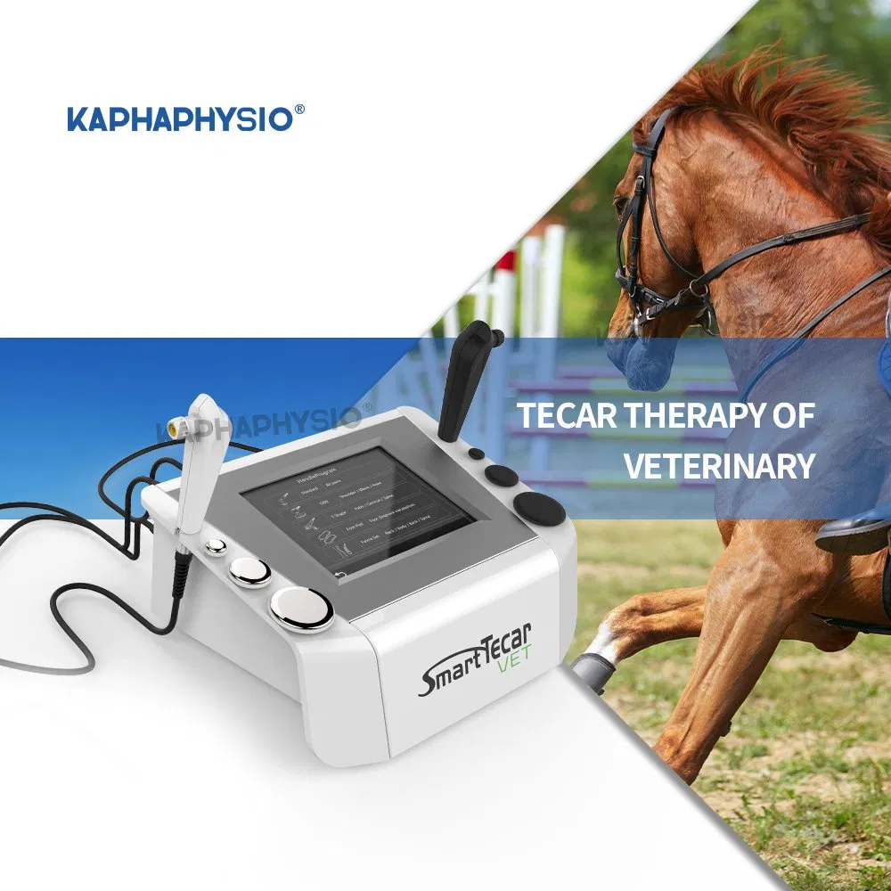 CE Approved Horse Treatment China Improved Equine Flexibility Tecar Therapy Machine