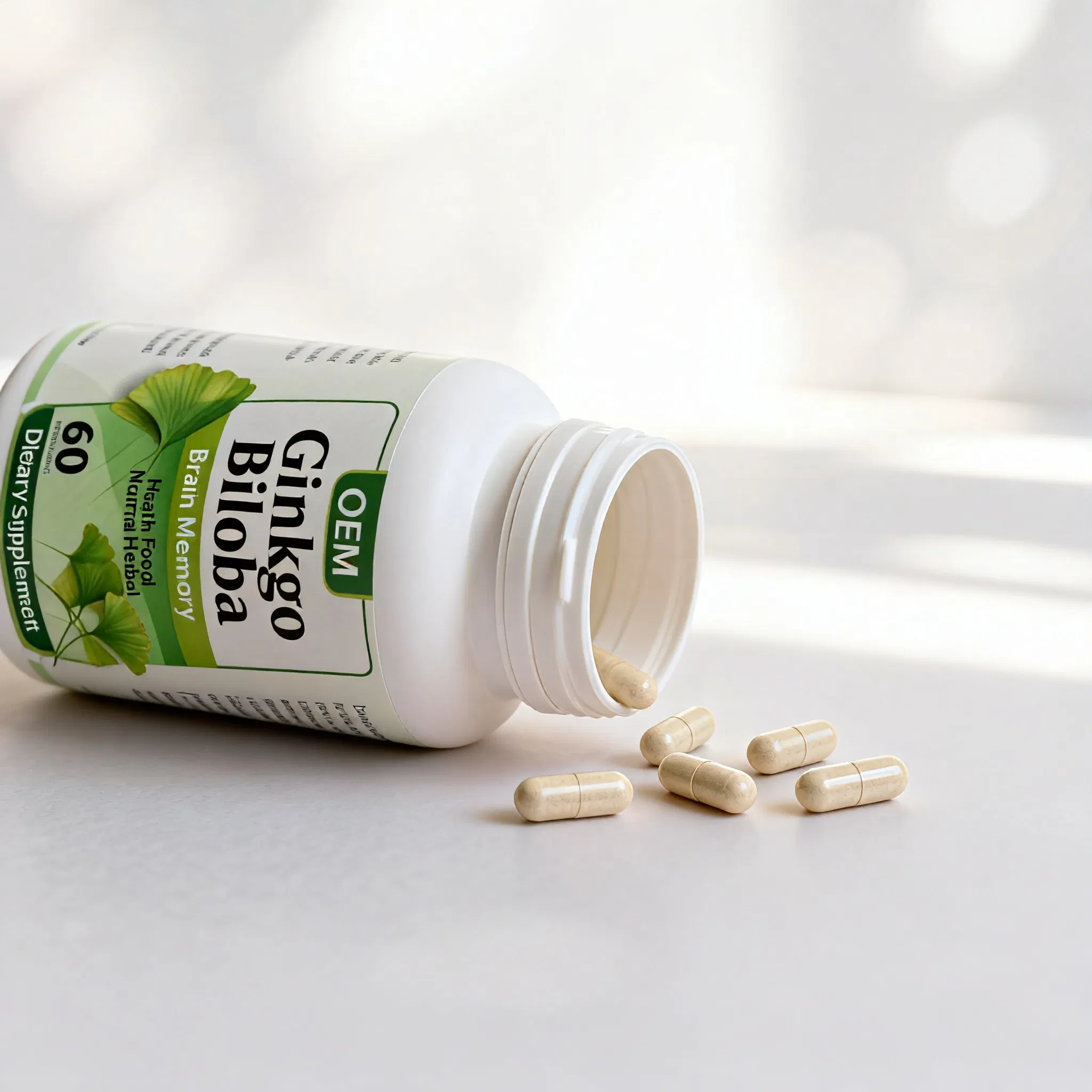 Ginkgo Biloba Extract Capsules OEM/Private Label Manufacturer Memory &amp; Brain Focus Support